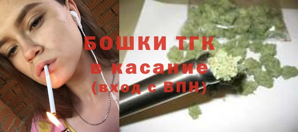 сатива Баксан