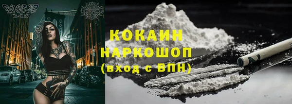 сатива Баксан