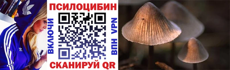 Псилоцибиновые грибы Magic Shrooms  где можно купить наркотик  Лаишево 